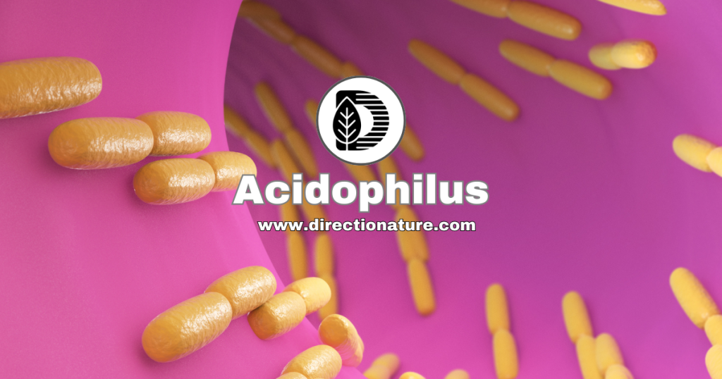 Acidophilus