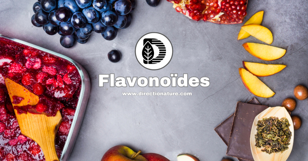 Flavonoïdes