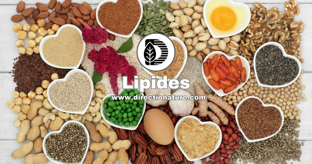 Lipides