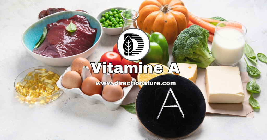 Vitamine A ou rétinol