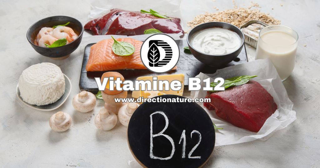 Vitamine B12 ou cobalamine