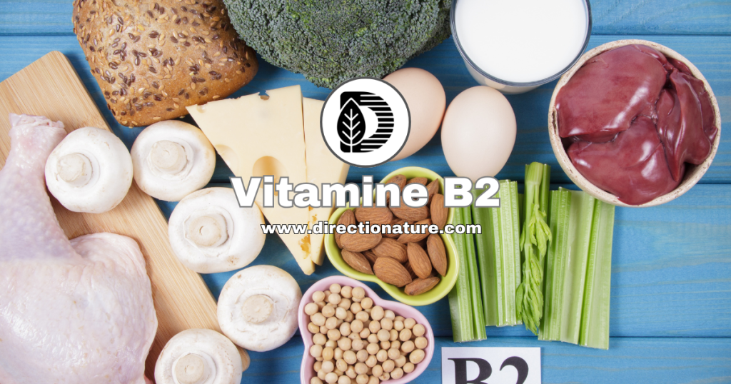 Vitamine B2 ou riboflavine