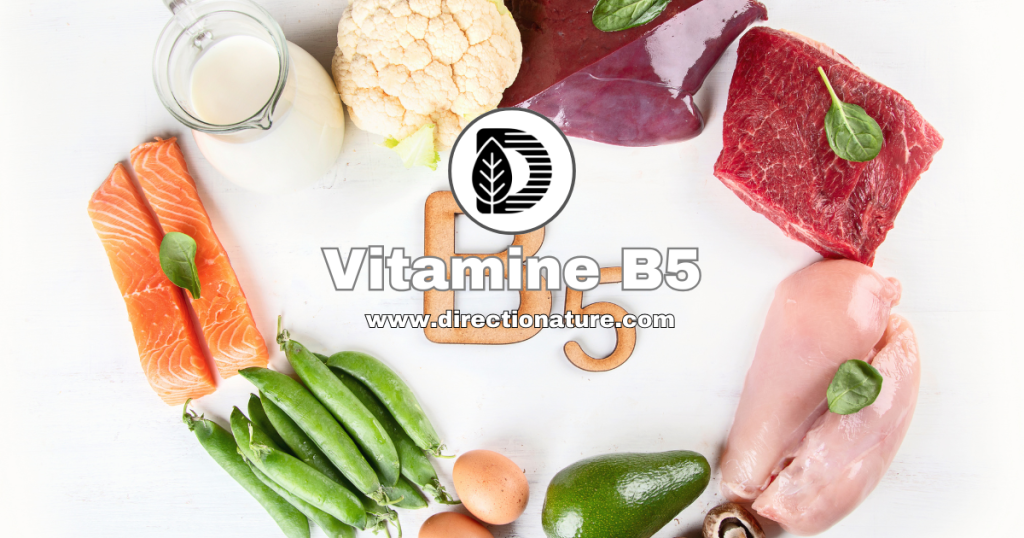 Vitamine B5 ou acide pantothénique