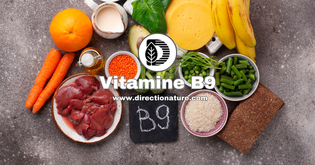 Vitamine B9 ou acide folique