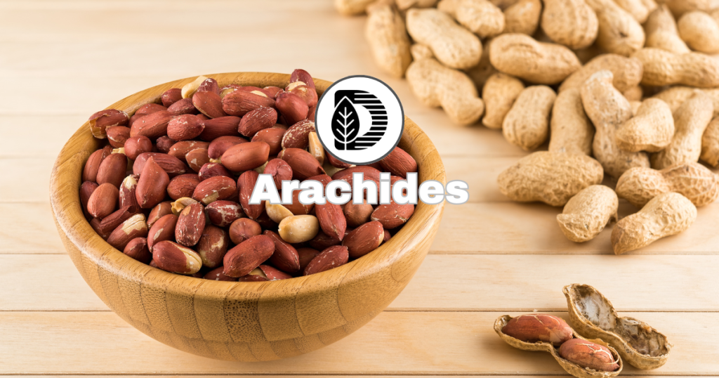 Arachides