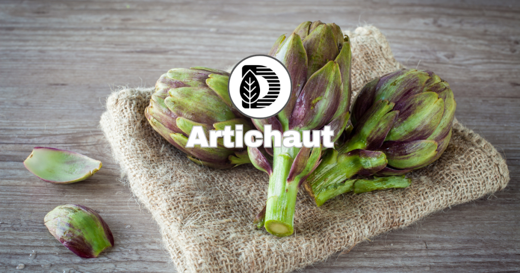 Artichaut