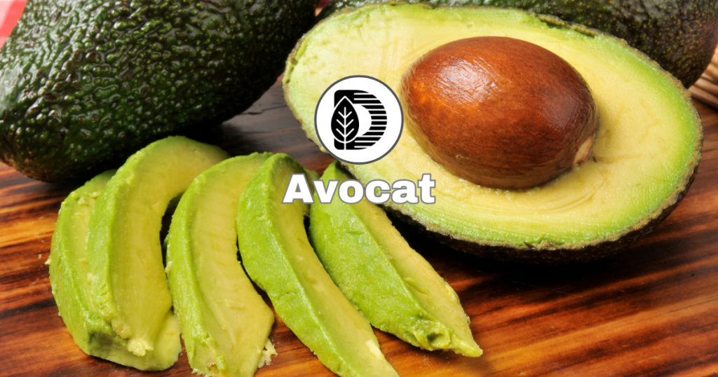 Avocat