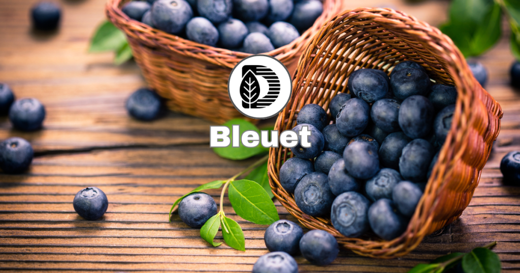 Bleuet