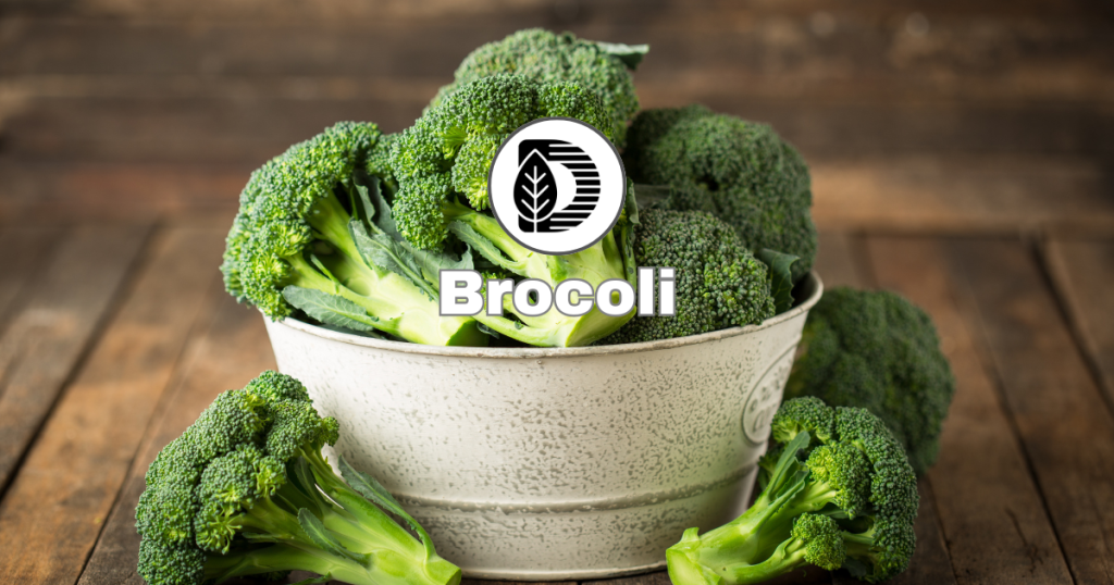 Brocoli