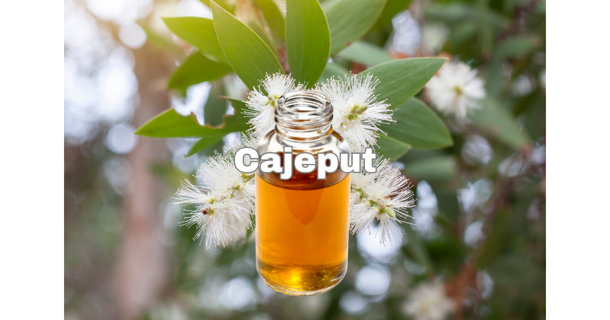 Cajeput