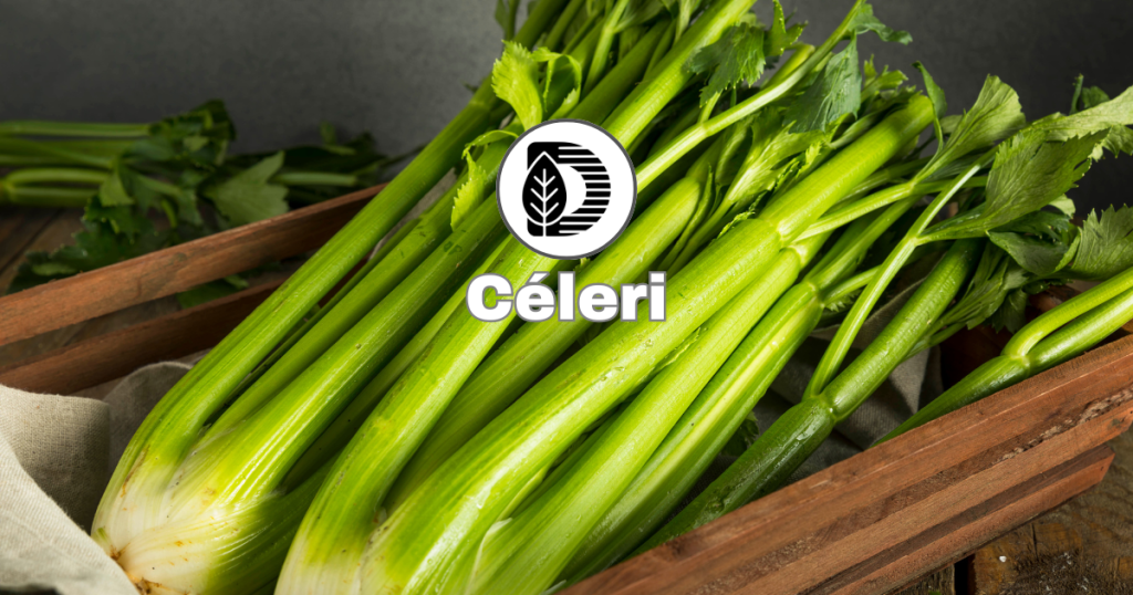 Céleri