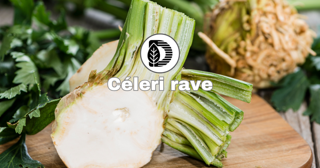 Céleri-rave