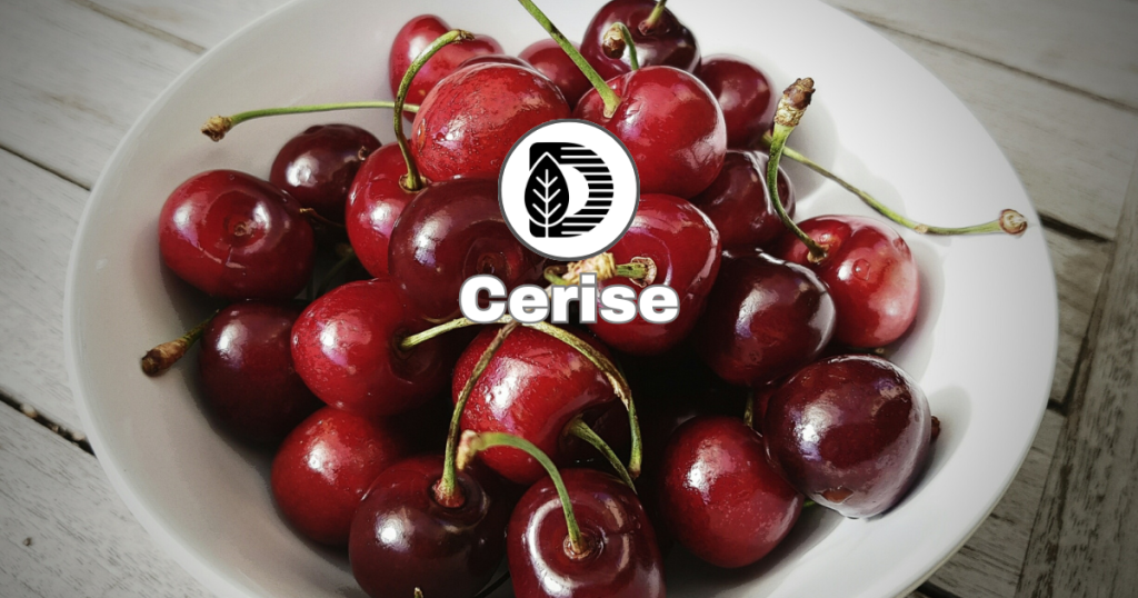 Cerise