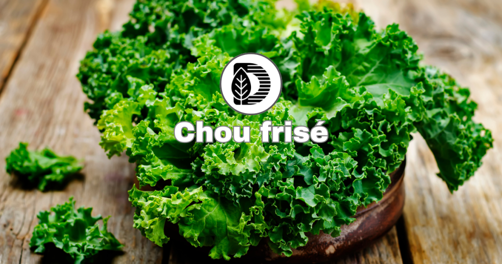 Chou frisé