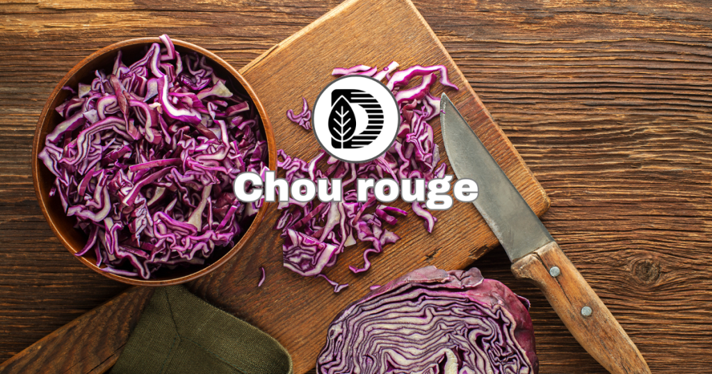 Chou rouge