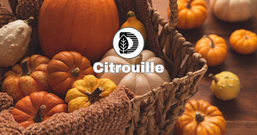 Citrouille