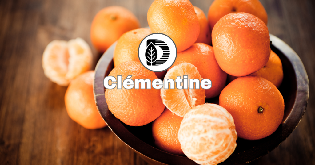 Clémentine