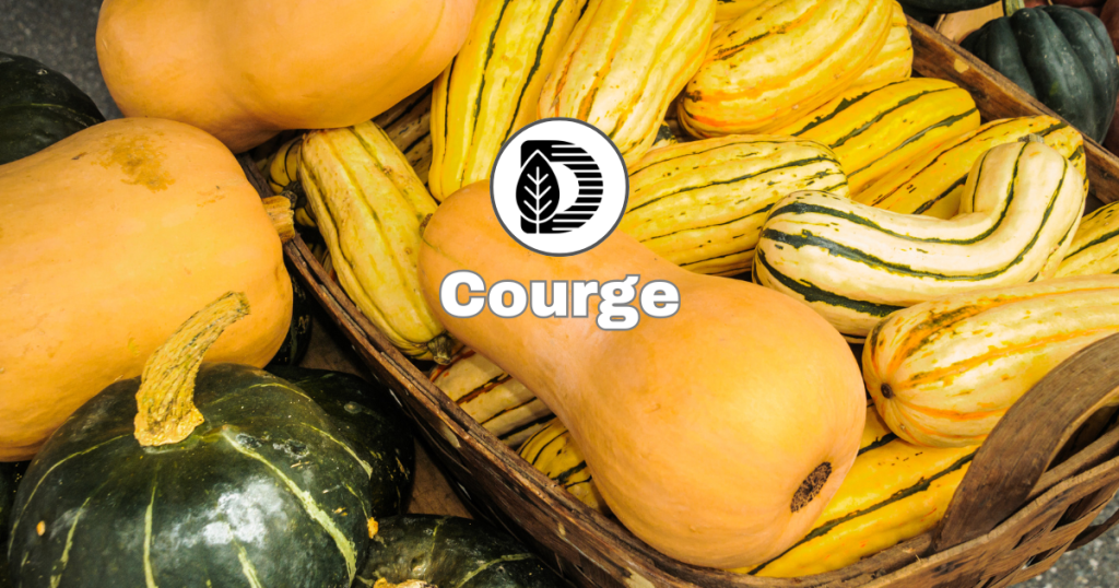 Courge