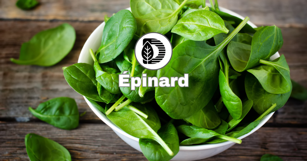 Épinard