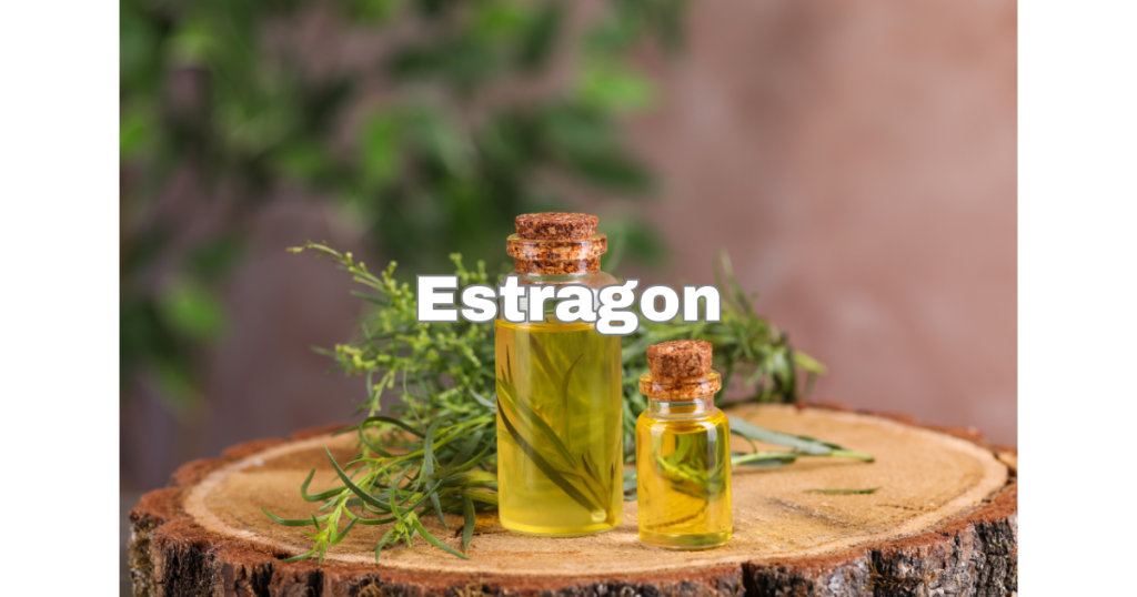 Estragon