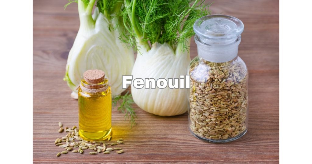 Fenouil