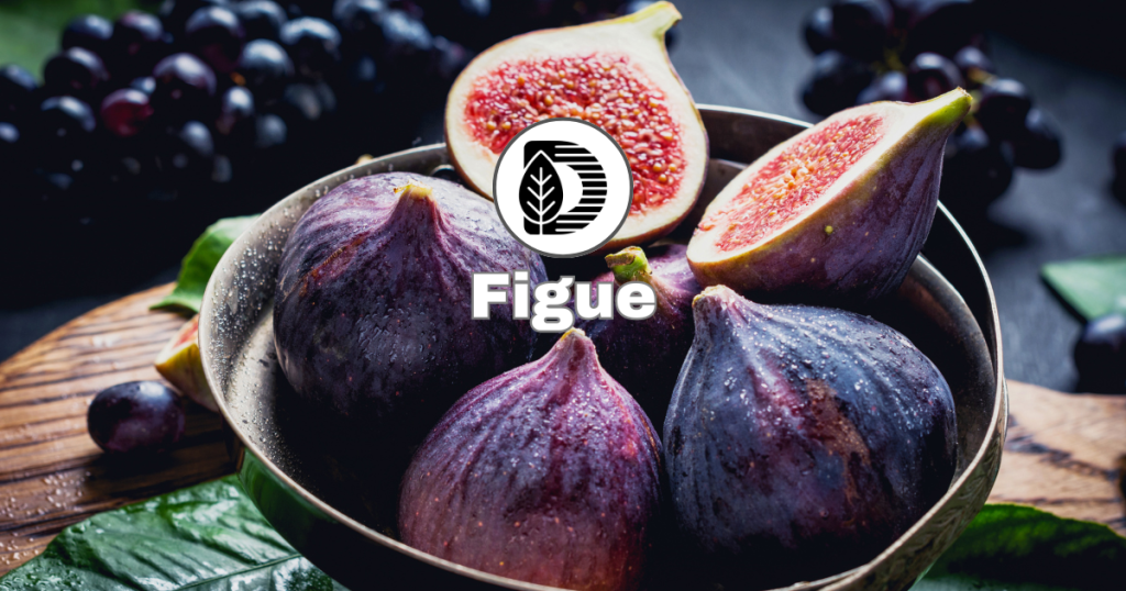 Figue
