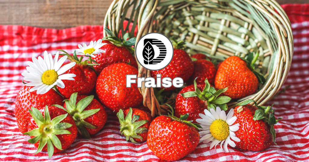Fraise