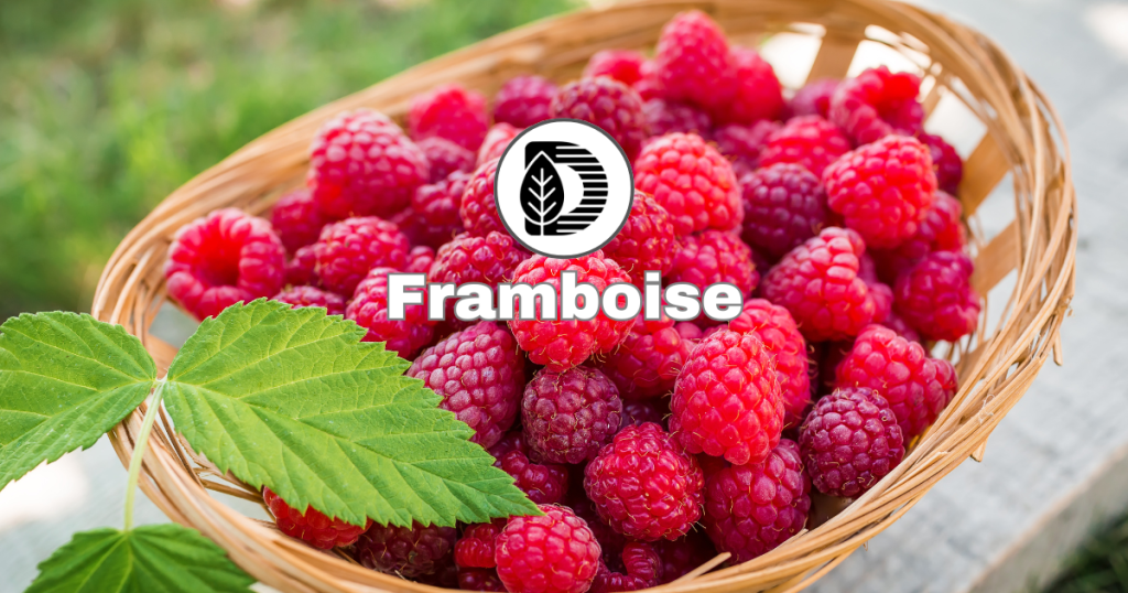 Framboise