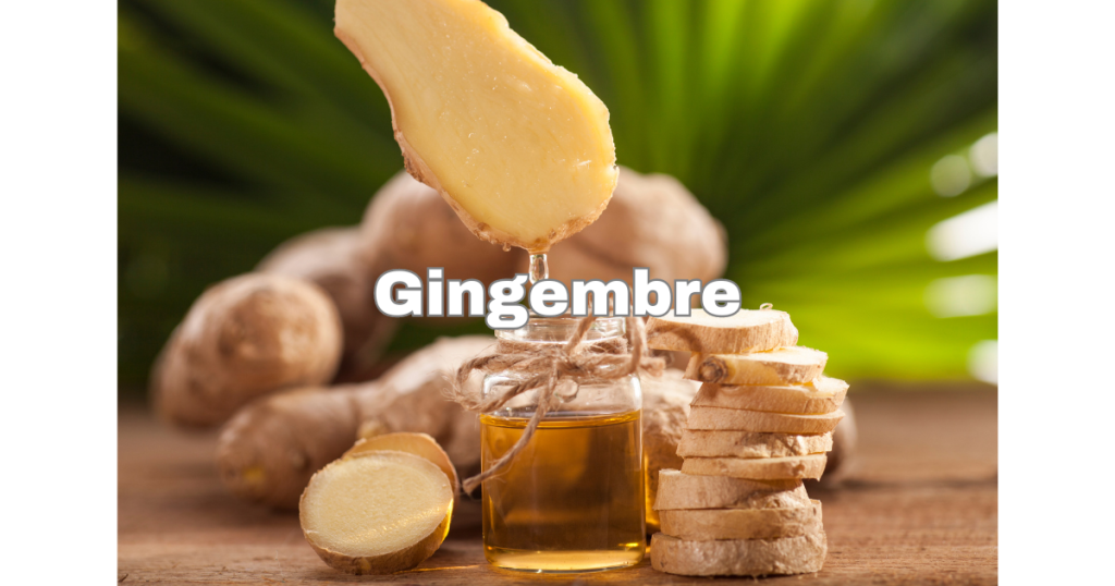 Gingembre