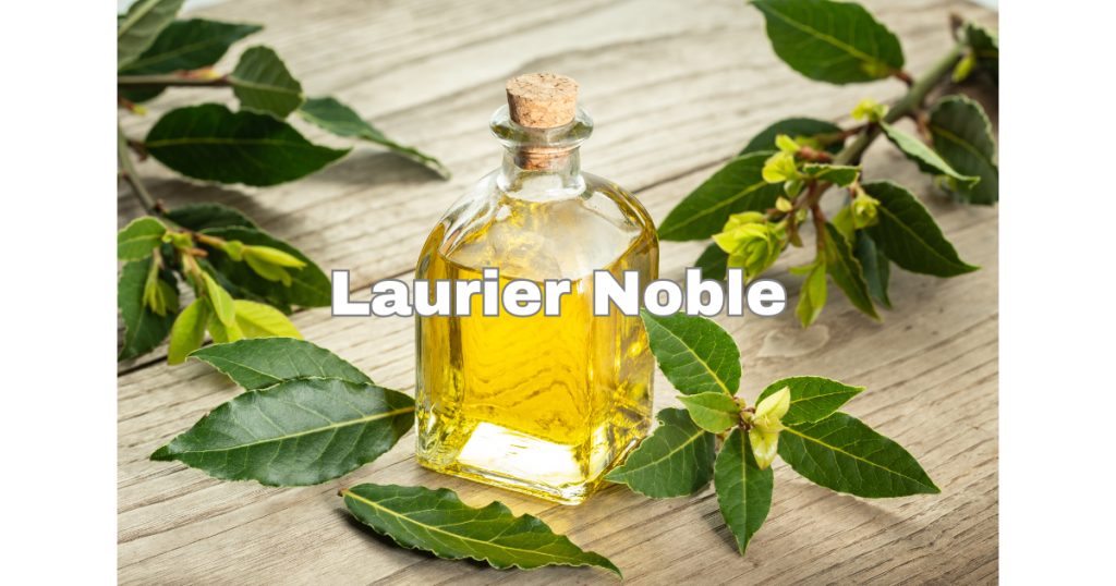 Laurier Noble