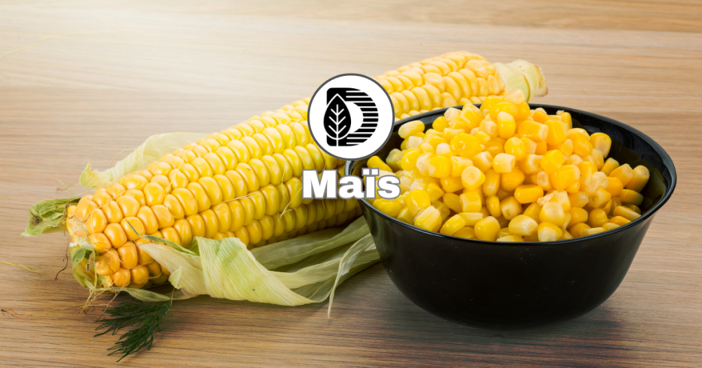 Maïs