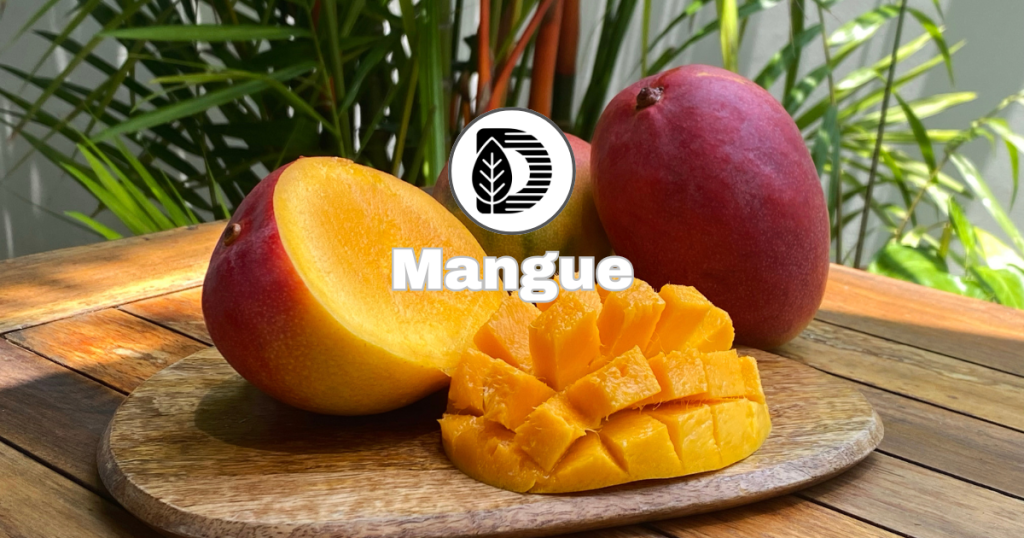 Mangue