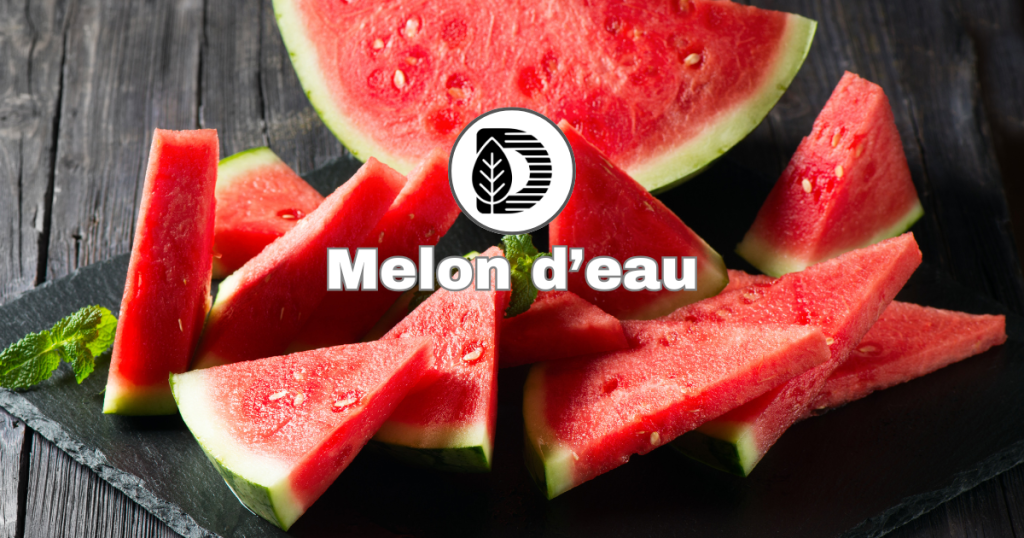 Melon d&rsquo;eau