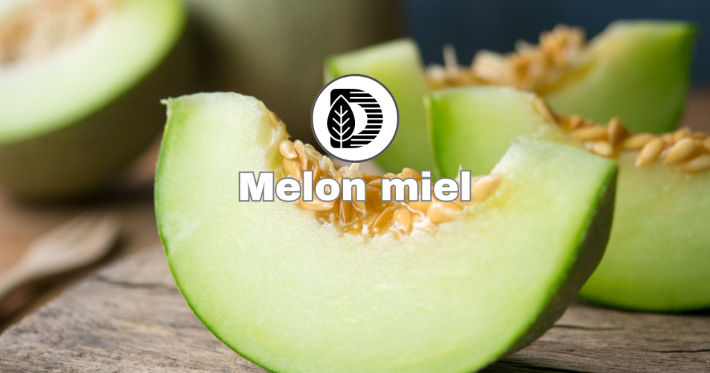 Melon miel