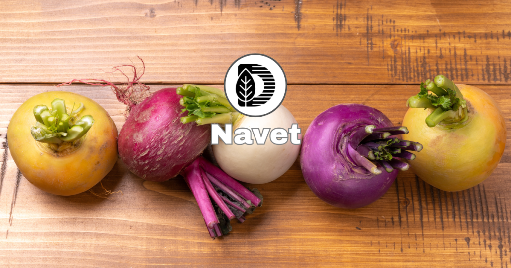 Navet