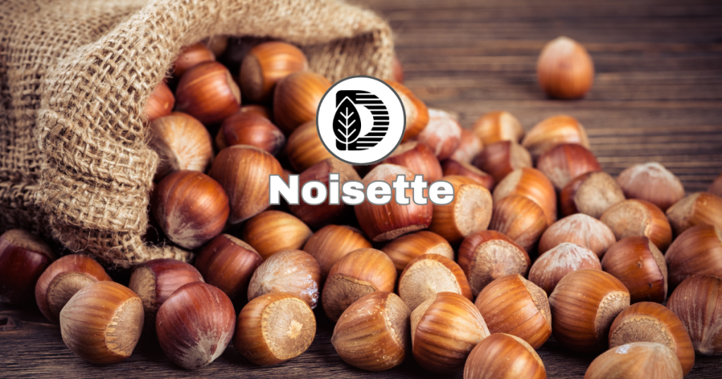 Noisette