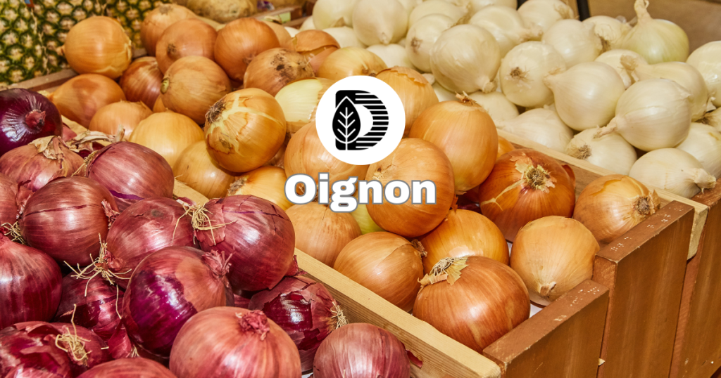 Oignon