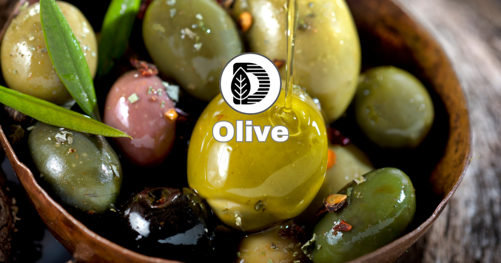 Olive