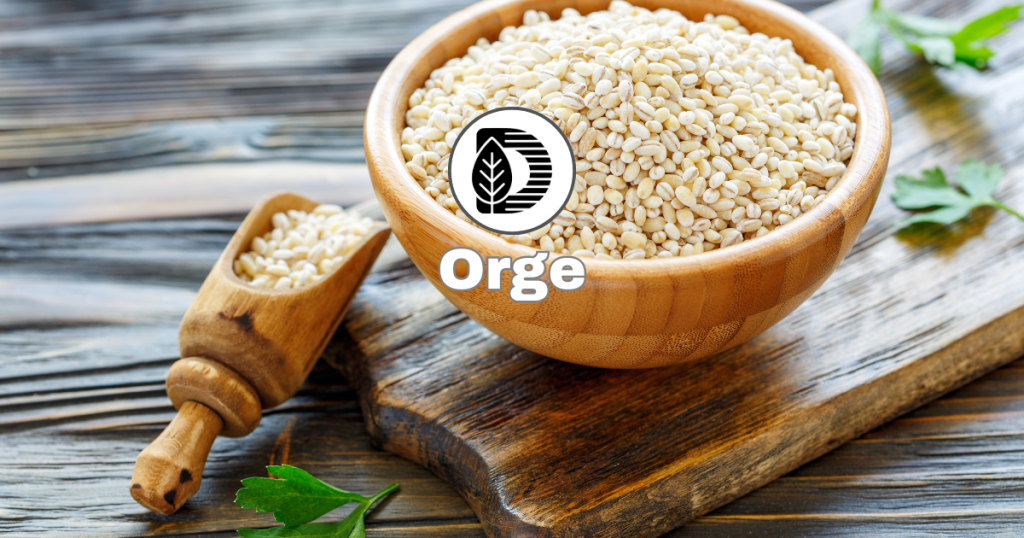 Orge
