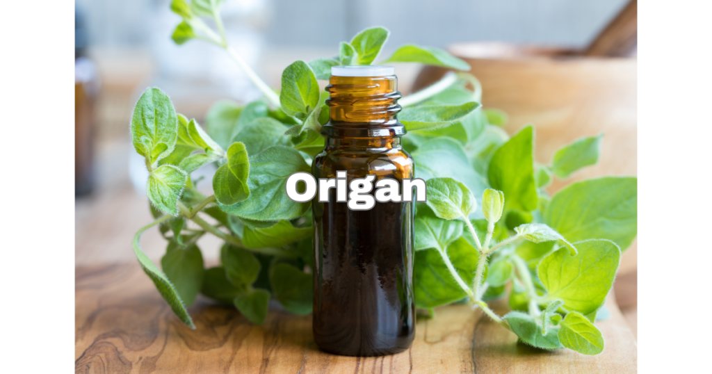 Origan