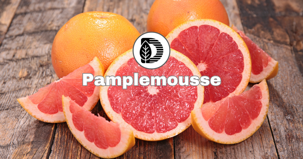 Pamplemousse