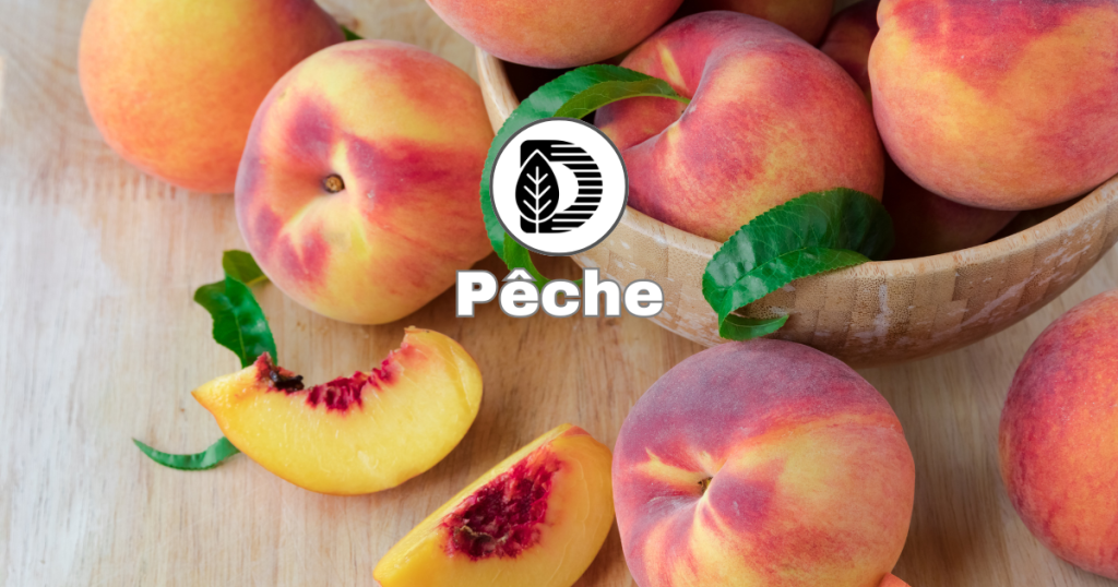 Pêche