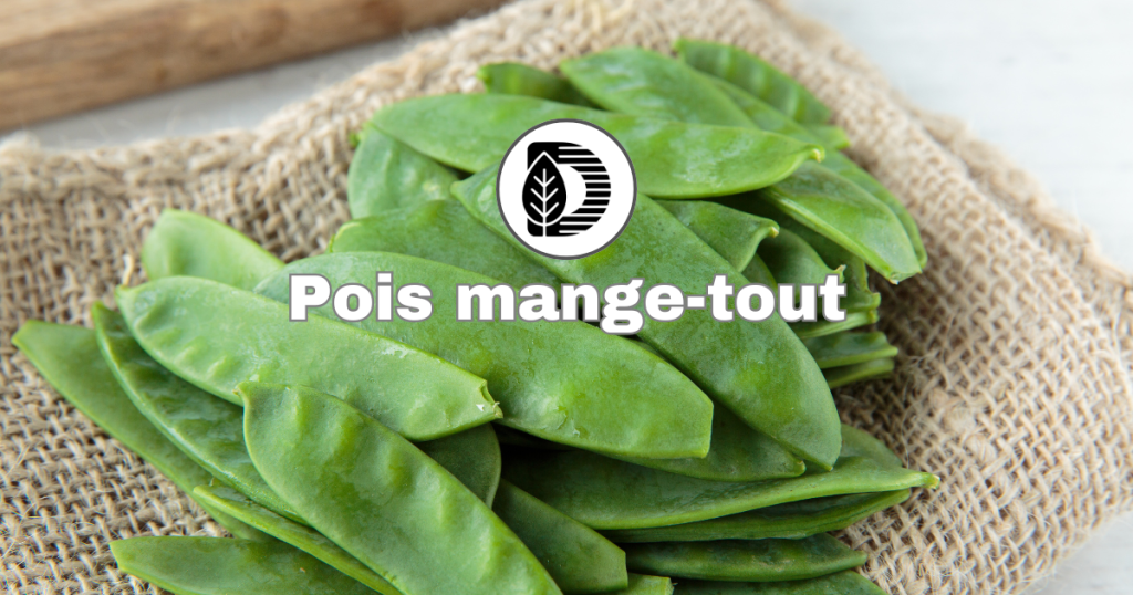 Pois mange-tout