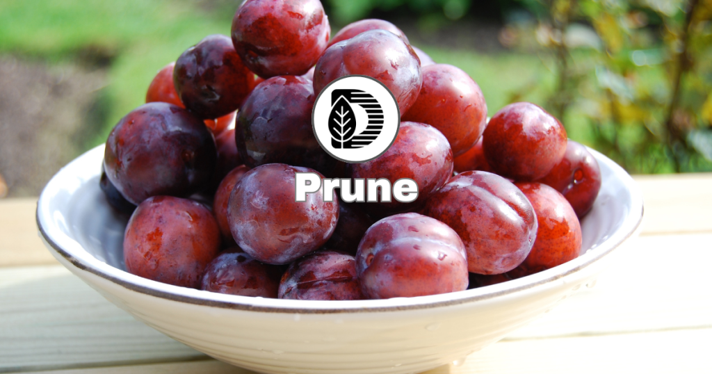 Prune