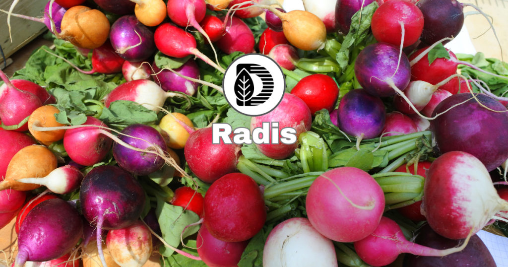 Radis