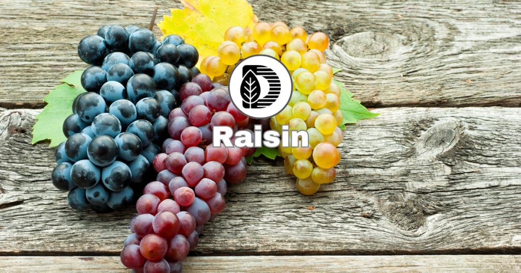 Raisin