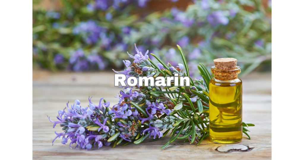 Romarin