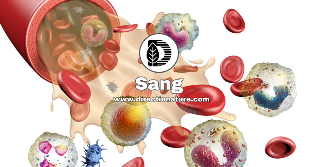 Sang