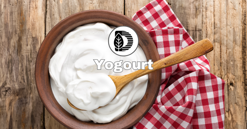 Yogourt