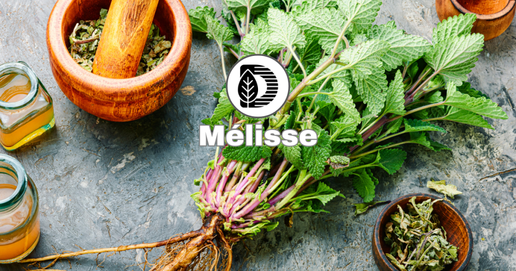 Mélisse